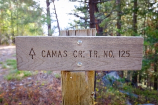 Camas Creek Trail No. 125 Selway Bitterroot Wilderness